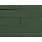 CEDRAL click Fassadenpaneel grün C31